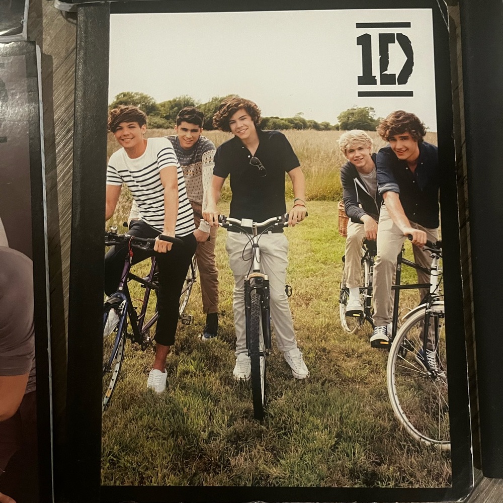 1D Notebooks Bundle - Picture 5 of 8